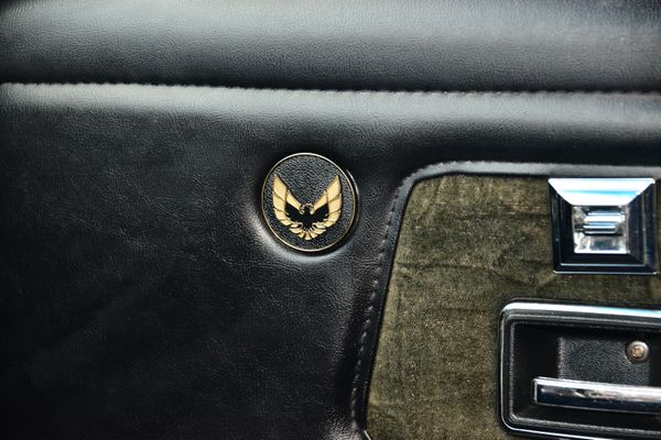 1977 Pontiac Firebird Trans Am Y82