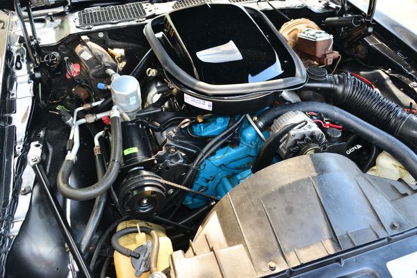 1977 Pontiac Firebird Trans Am Y82