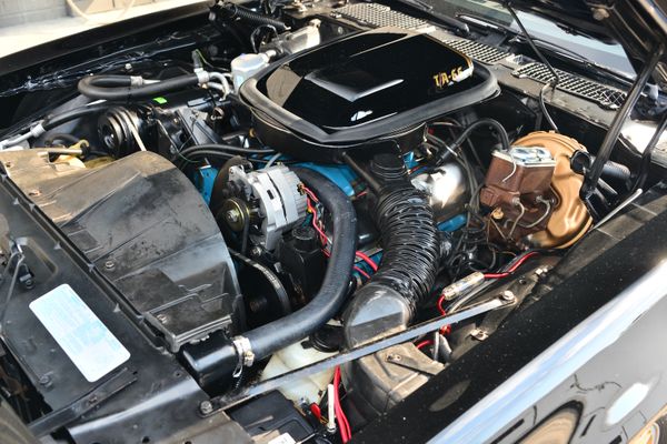 1977 Pontiac Firebird Trans Am Y82