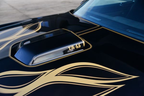 1977 Pontiac Firebird Trans Am Y82