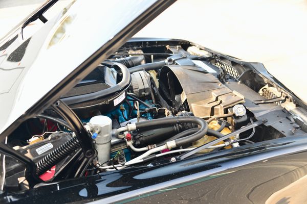 1977 Pontiac Firebird Trans Am Y82