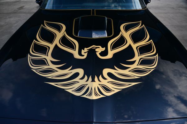 1977 Pontiac Firebird Trans Am Y82