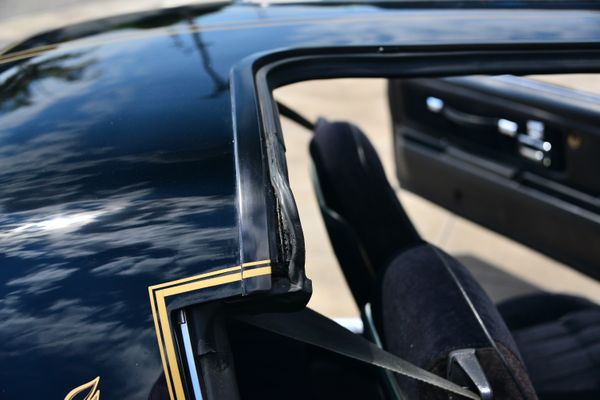 1977 Pontiac Firebird Trans Am Y82